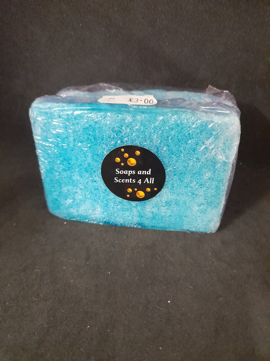 Sunrise Cleaning Sponge