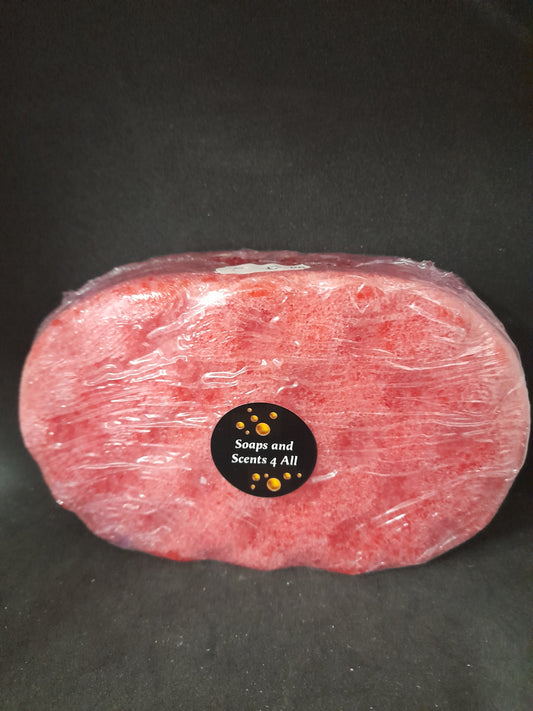 Missing Large Soap Sponge