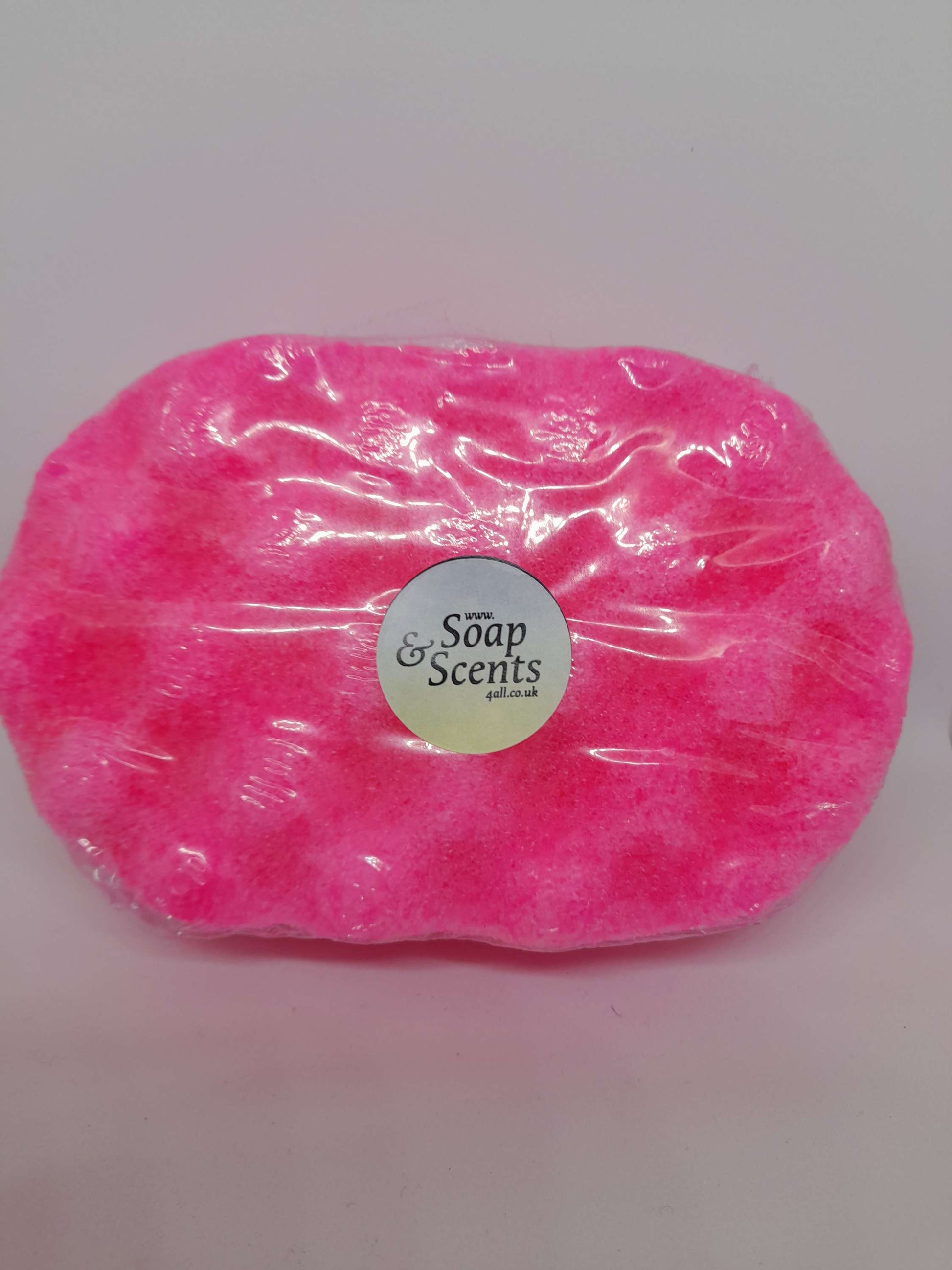 Dash Large Soap Sponge image 0